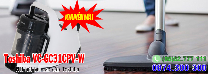Toshiba VC-GC31CPV-W